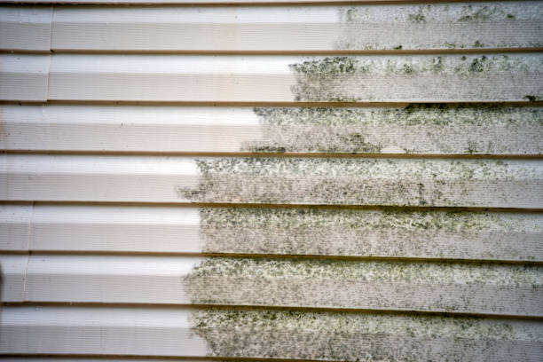 Best Demolition Debris Removal  in West Jordan, UT